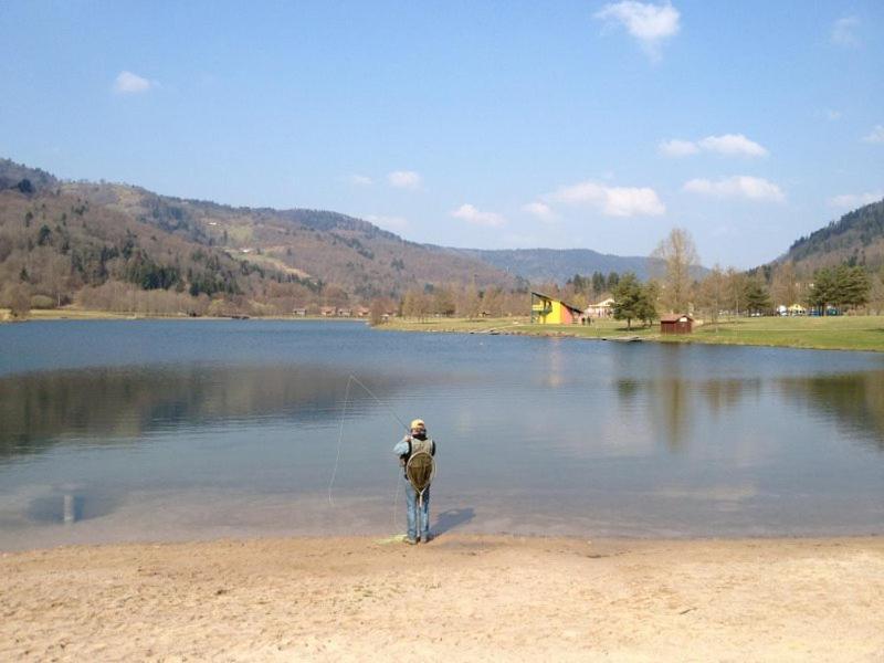 Chalet De Grettery Saulxures-sur-Moselotte Ngoại thất bức ảnh